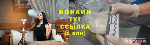 метадон Богданович