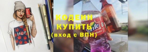 метадон Богданович