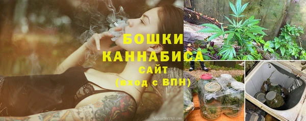 метадон Богданович