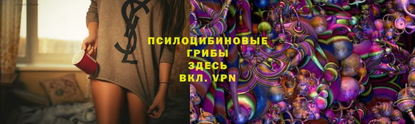 метадон Богданович
