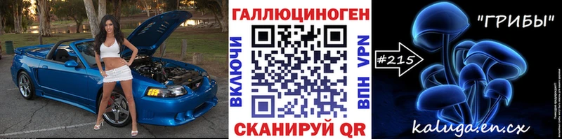 Галлюциногенные грибы Psilocybe  Купить закладки  Жуковка 
